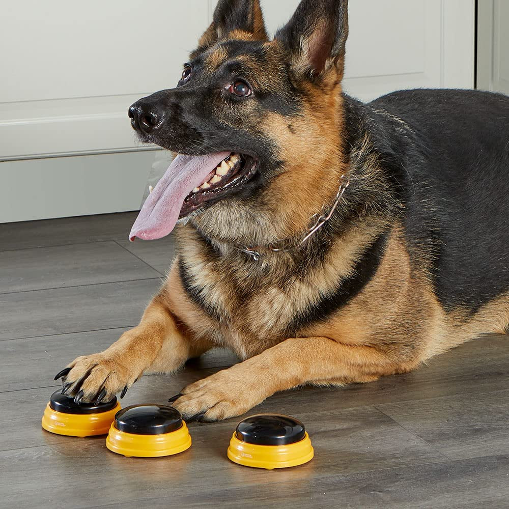 Talking Pet Next Words Names Button Set (3 Pieces)