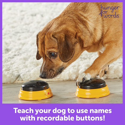 Talking Pet Next Words Names Button Set (3 Pieces)