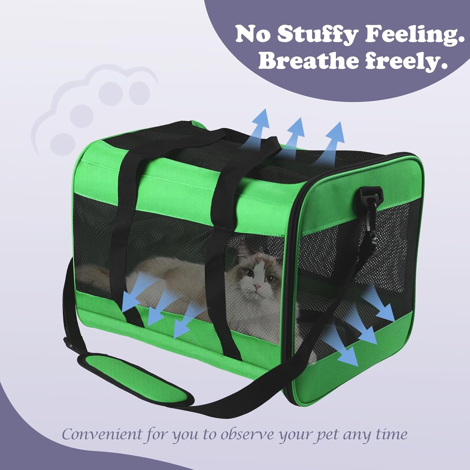 Pet Carrier Airline Approved Pet Carrier Dog Carriers for Small Dogs, Cat Carriers for Medium Cats Small Cat, Small Pet Carrier Small Dog Carrier Airline Approved Cat Pet Travel Carrier-Green