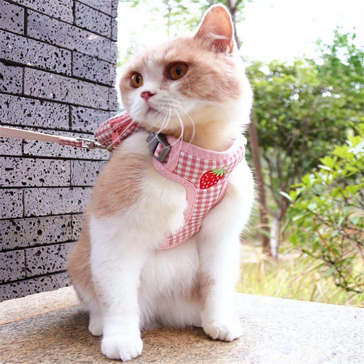 Pet Backpack Harness with Leash for Cat Small Dog Self Mini Carrier Back Pack Pocket Saddle Bags Puppy Bag with Training Lead Leash for Doggie Outdoor Travel Hiking Walking